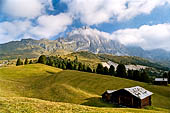 Trekking nel Parco Naturale Puez-Odle. Dall'Alpe Col Raiser (2100 m) alla Val di Funes. Le Odle viste da Col Raiser. 